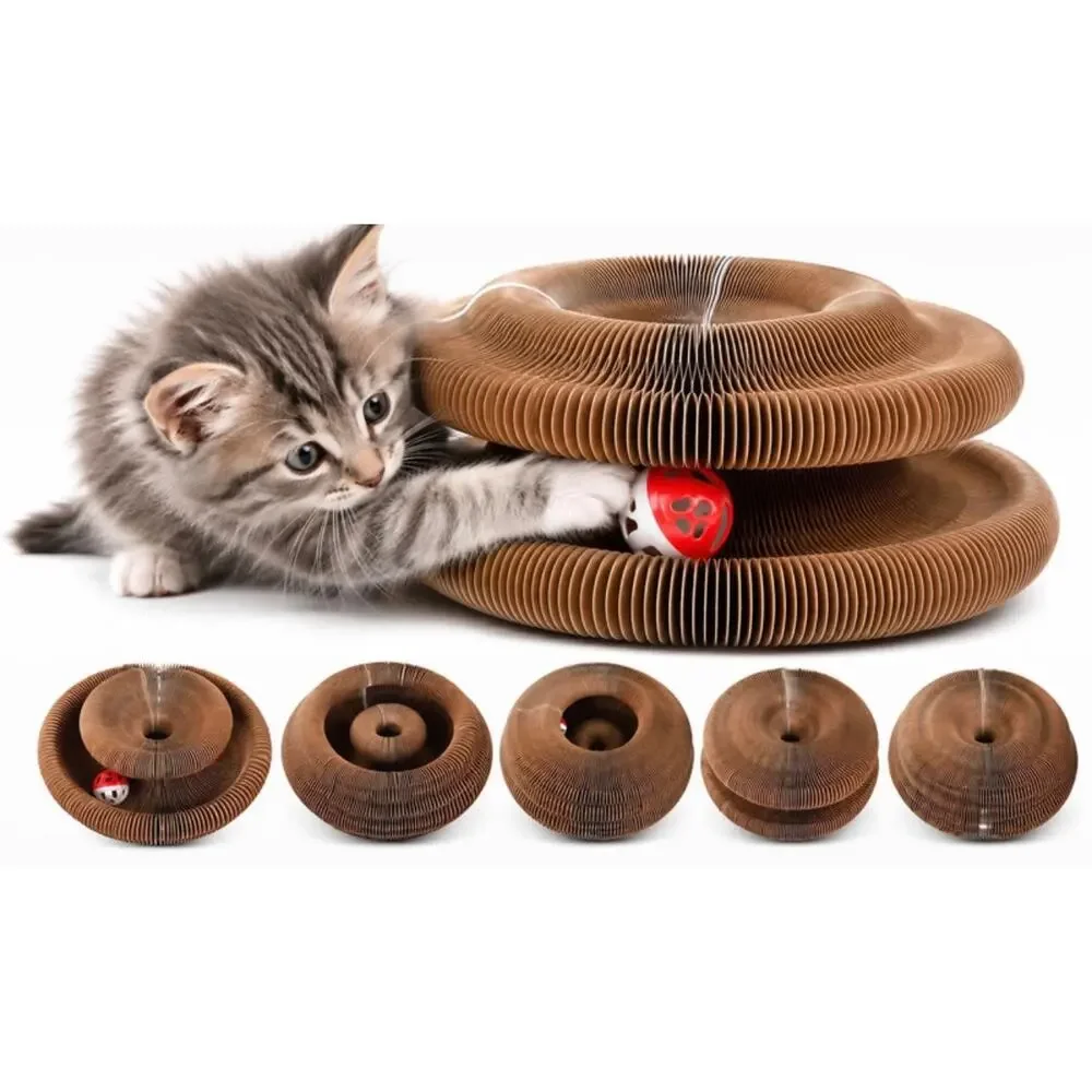A Message from your Cat:  I NEED This Accordion Scratcher Toy with Ball